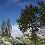 Group e-bike tour experience Dalmatia