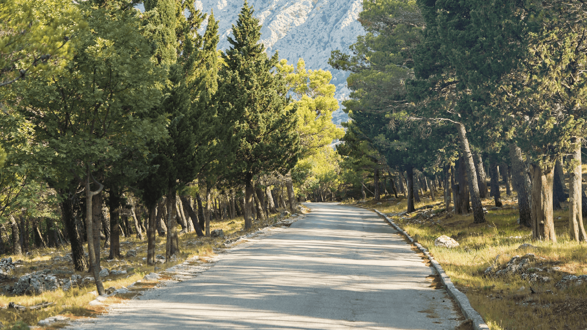 Makarska Riviera coastline view from Biokovo mountain e-bike tour