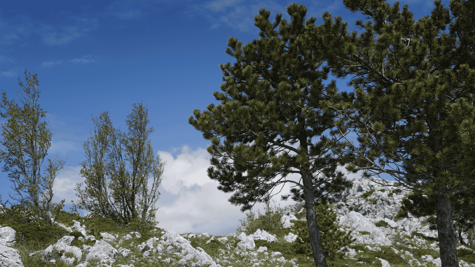 Dalmatian hinterland view from Biokovo cycling tour Croatia nature